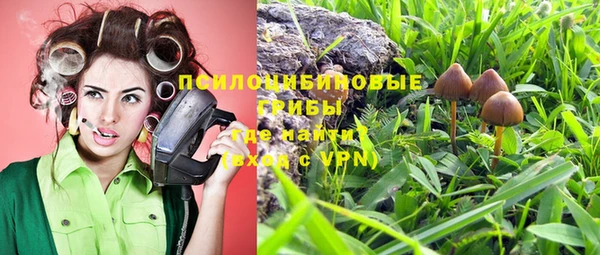 стафф Верея